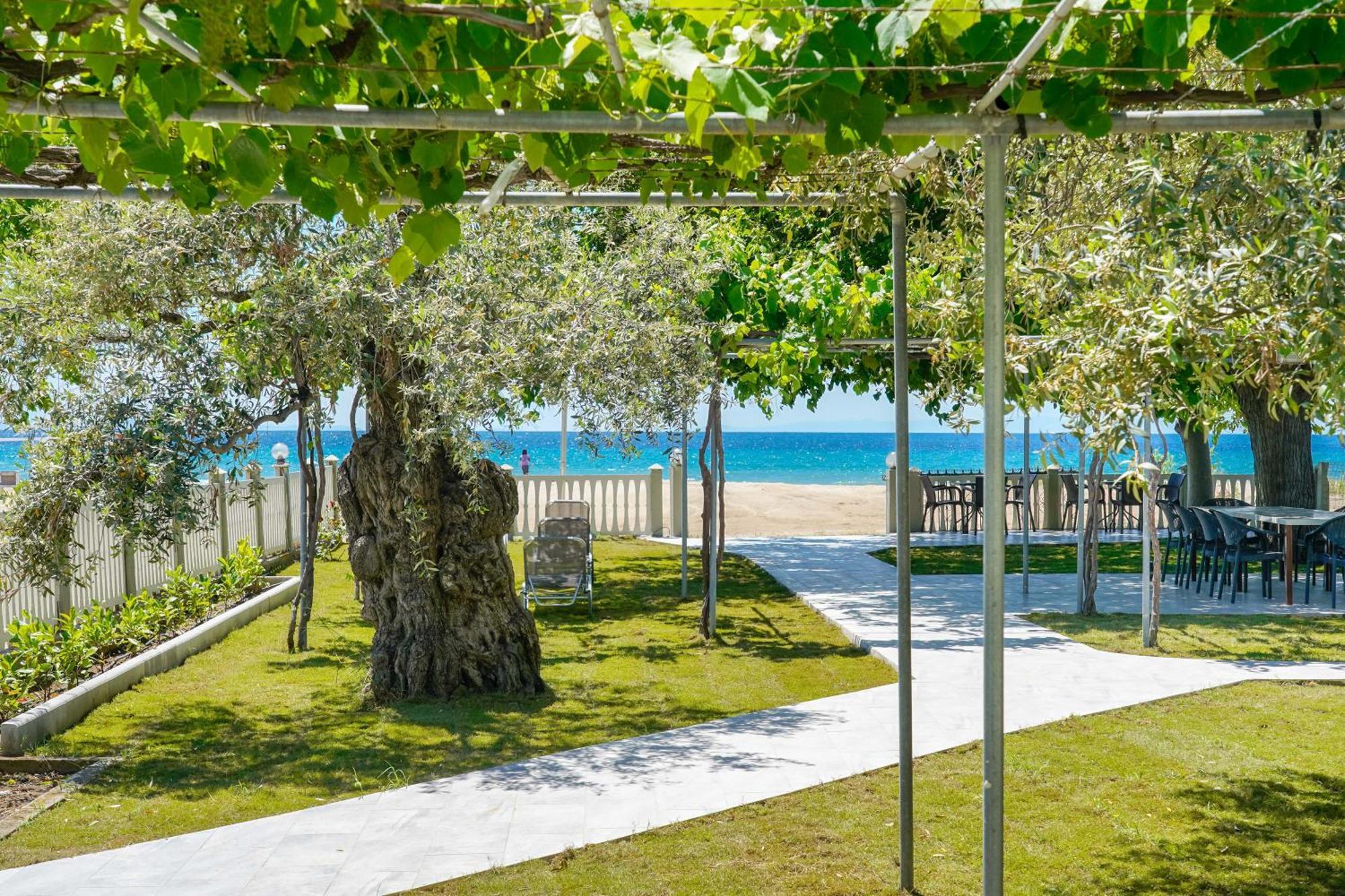 Olivento Beach Front Suites Ποτός Εξωτερικό φωτογραφία